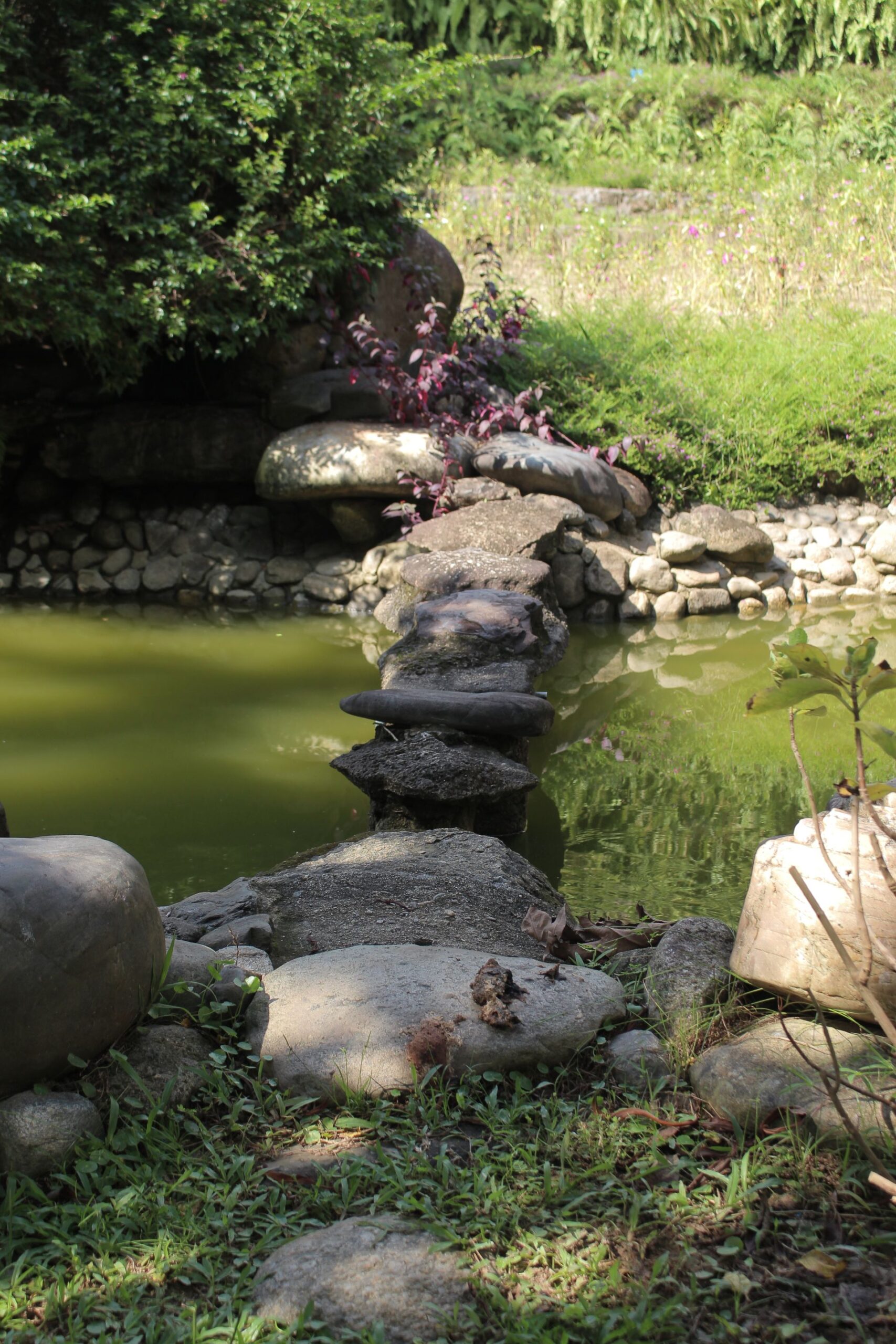 Lámina de agua y piedra natural en jardín de diseño